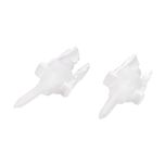 FujiCem 2 SL Mixing Tips