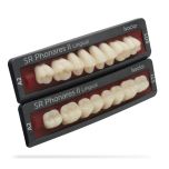 SR Phonares II Lingual 1