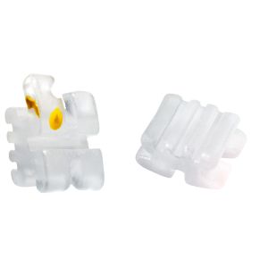 Jasmin Brackets