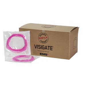 GBT Visigate 