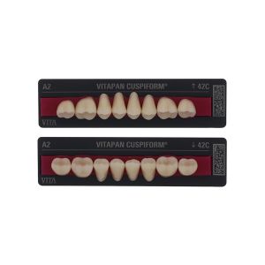VITAPAN classical Seitenzähne