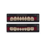 PHYSIODENS classical Seitenzähne