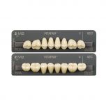 PHYSIODENS 3D-MASTER Seitenzähne