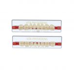 PHYSIODENS classical Seitenzähne